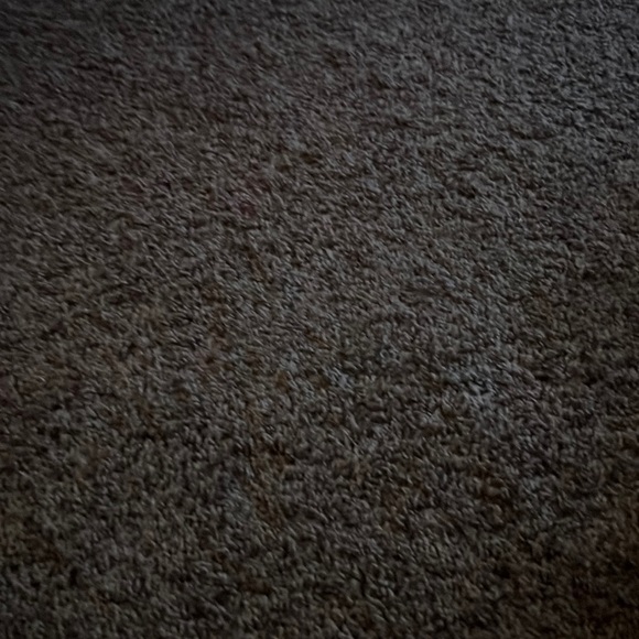 Aaaaaaaaaaasasss - Picture 1 of 1